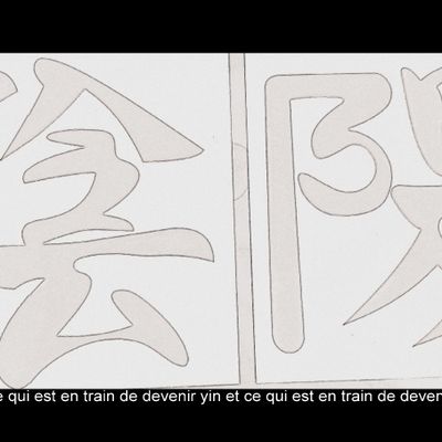 YIN YANG EN DEVENIR