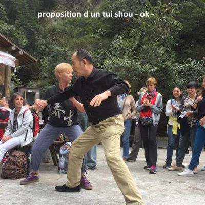 proposition  d un tui shou