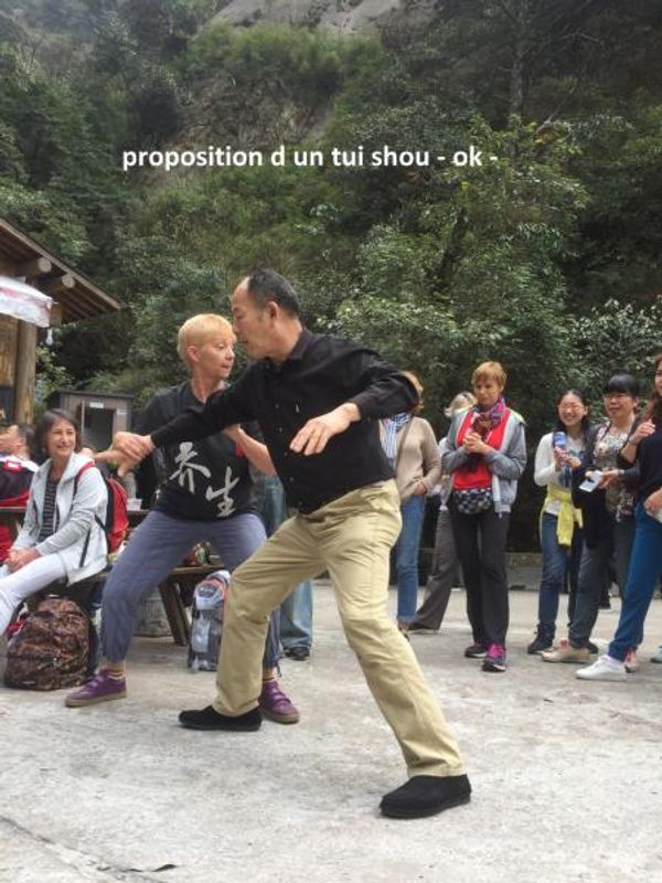 proposition d un tui shou