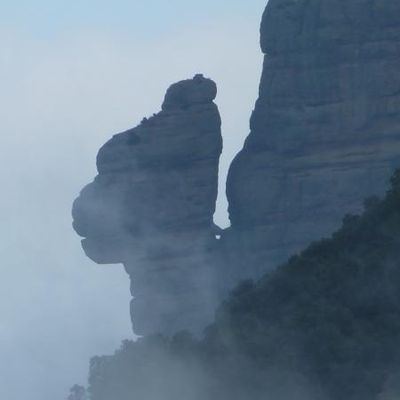 le bouddha ou le dragon