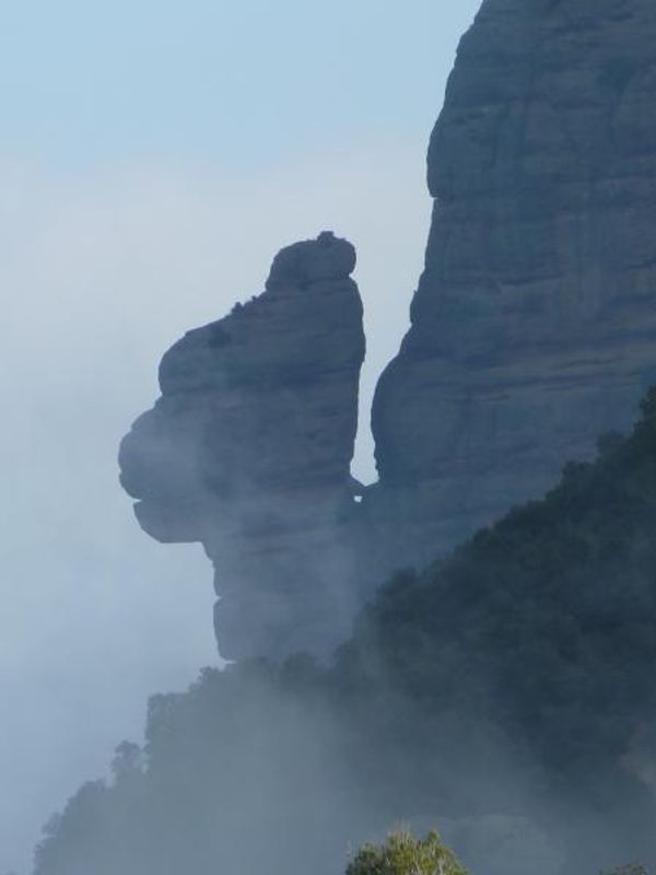 le bouddha ou le dragon