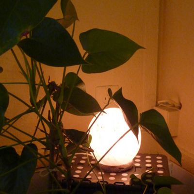Vers cette luminescence