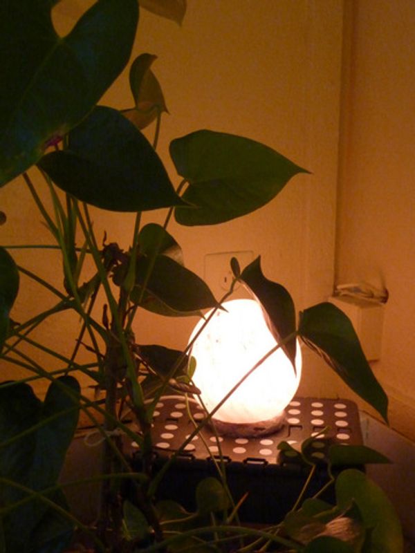 Vers cette luminescence