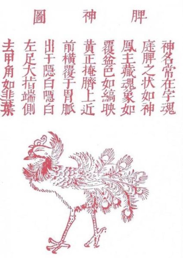 YI