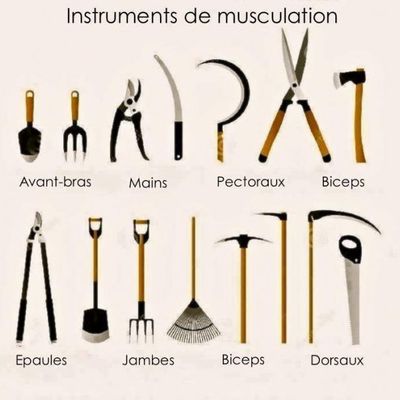 Comment se muscler !!!