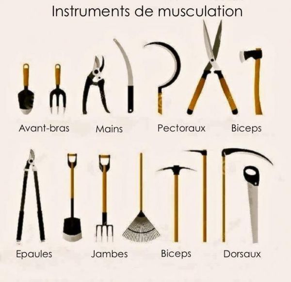 Comment se muscler !!!