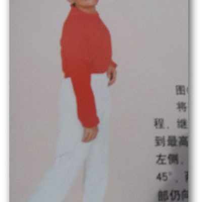 ma formation avec Maître Shen Xin Yang