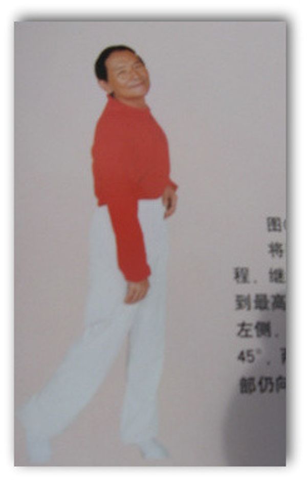 ma formation avec Maître Shen Xin Yang