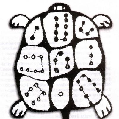 tortue du hui chun gong