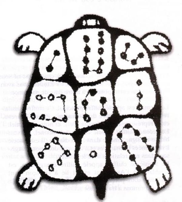 tortue du hui chun gong