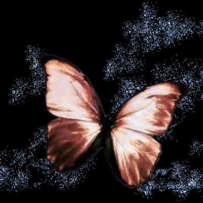 papillon lumineux