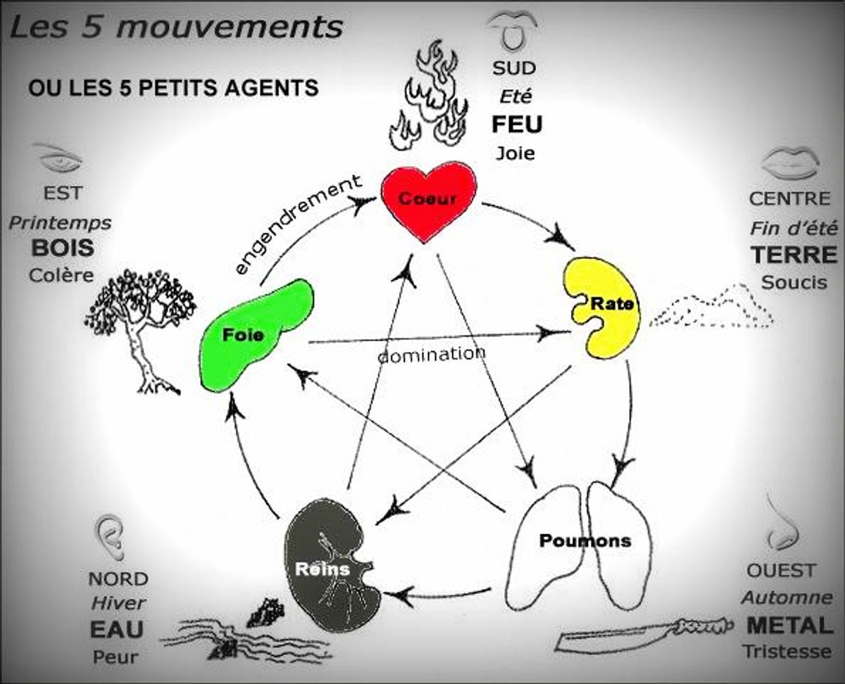 Les 5 grandes dimensions ou agents et les 5 petits agents et leurs symboliques en MTC