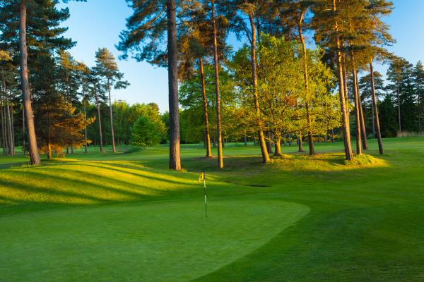 Forest Pines Golf Course