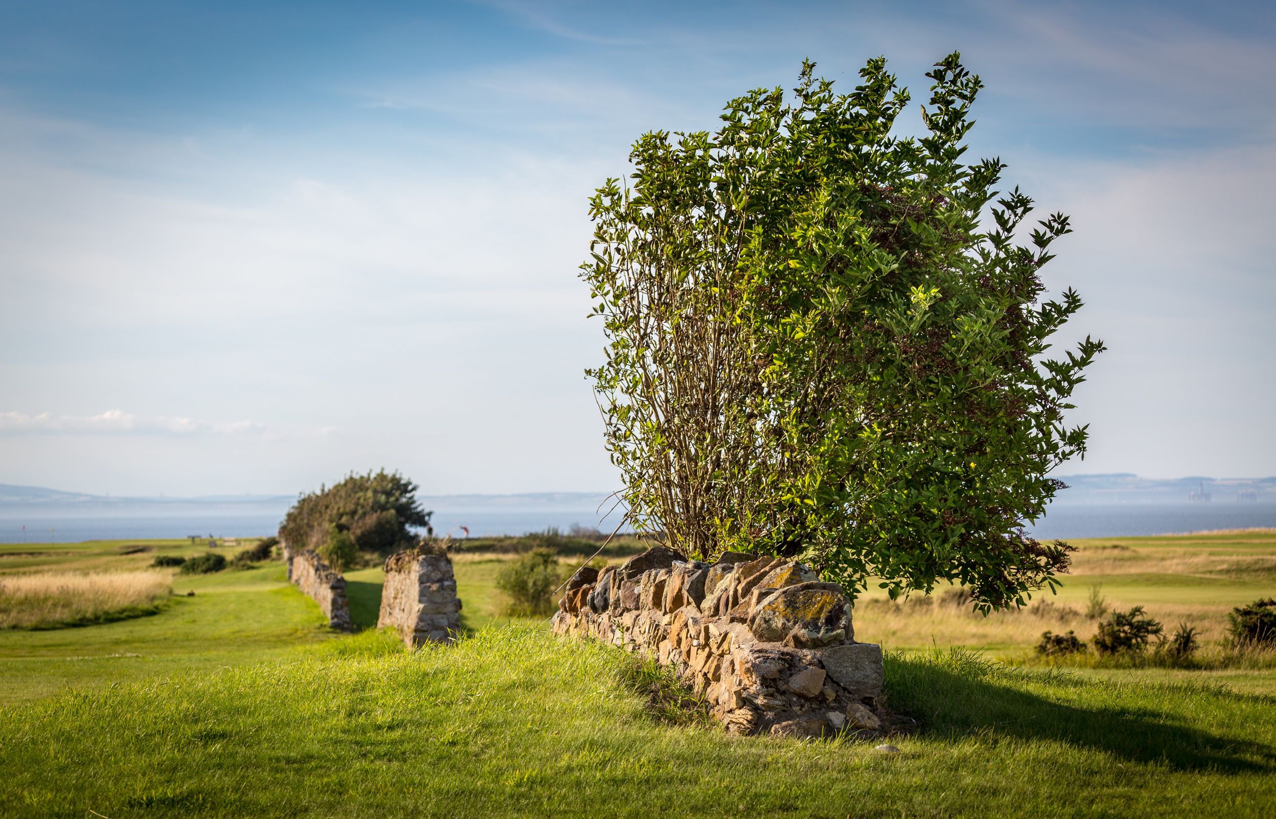 Craigielaw Natural Beauty 11