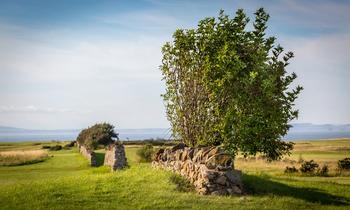 Craigielaw Natural Beauty 11