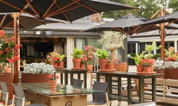 TheGrove_7312