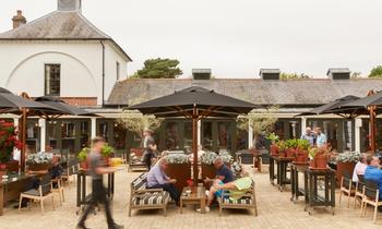 TheGrove_7384