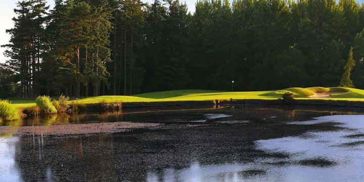 Golf Experiences by Golf Sherpa