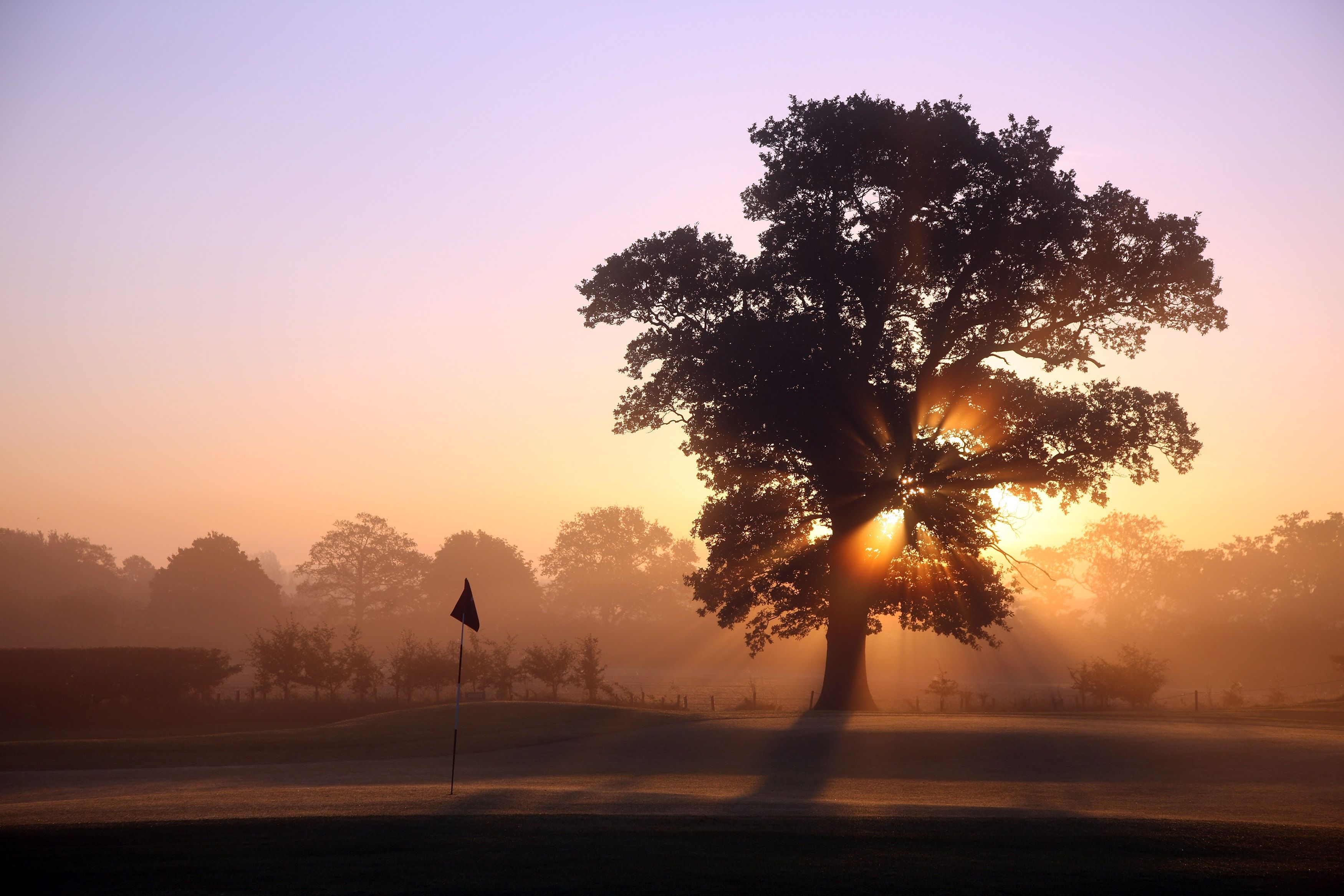 The Belfry - PGA National