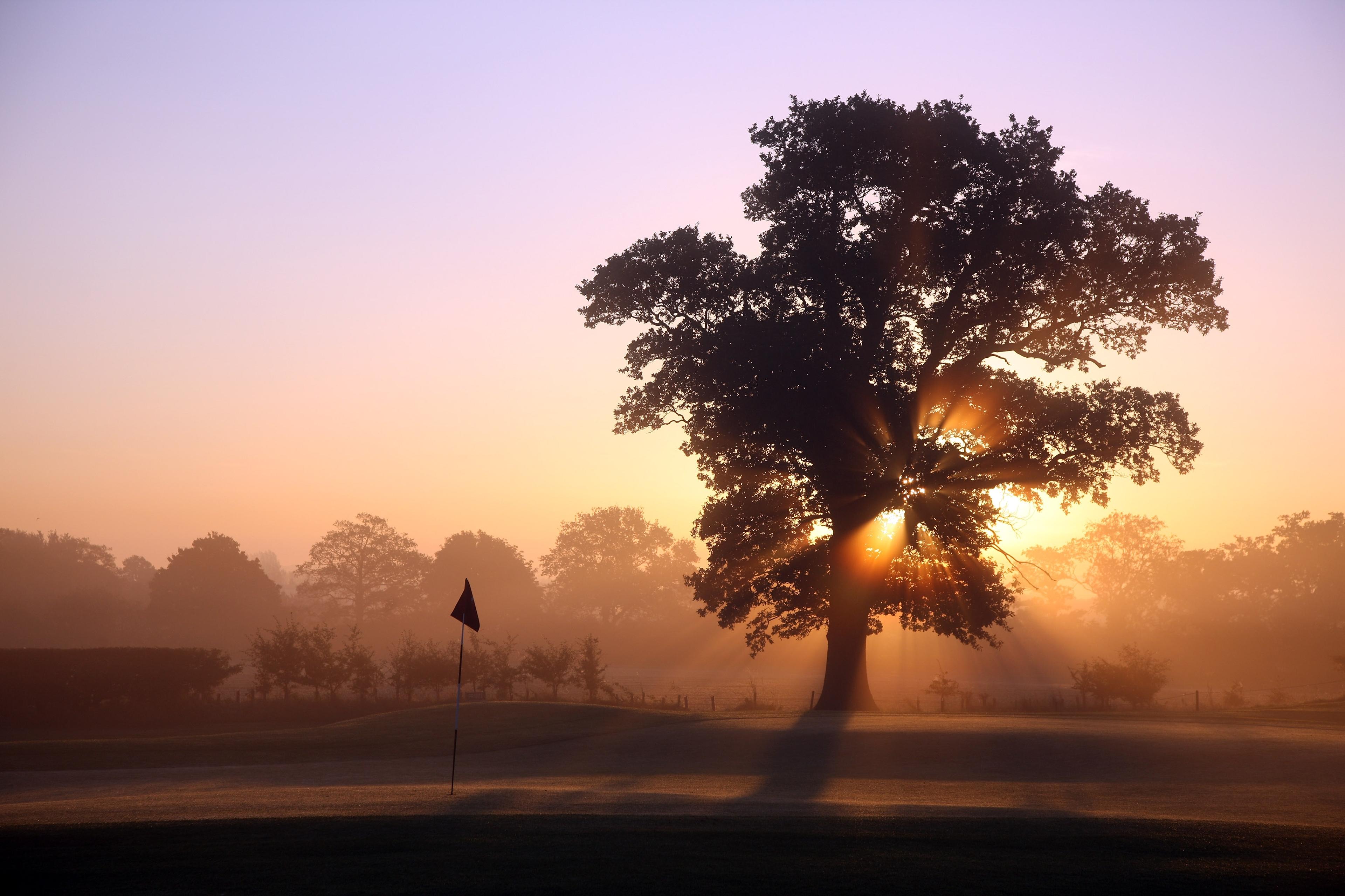 Golf Experiences by Golf Sherpa