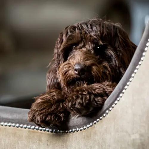 Slaley Hall Hotel, Spa & Golf Resort - Hero image