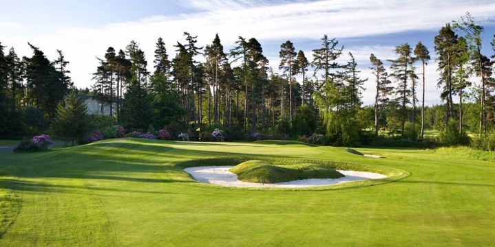 Golf Experiences by Golf Sherpa