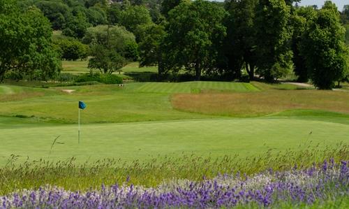 Golf Course - Paul Severn Re-edit 2022 -13