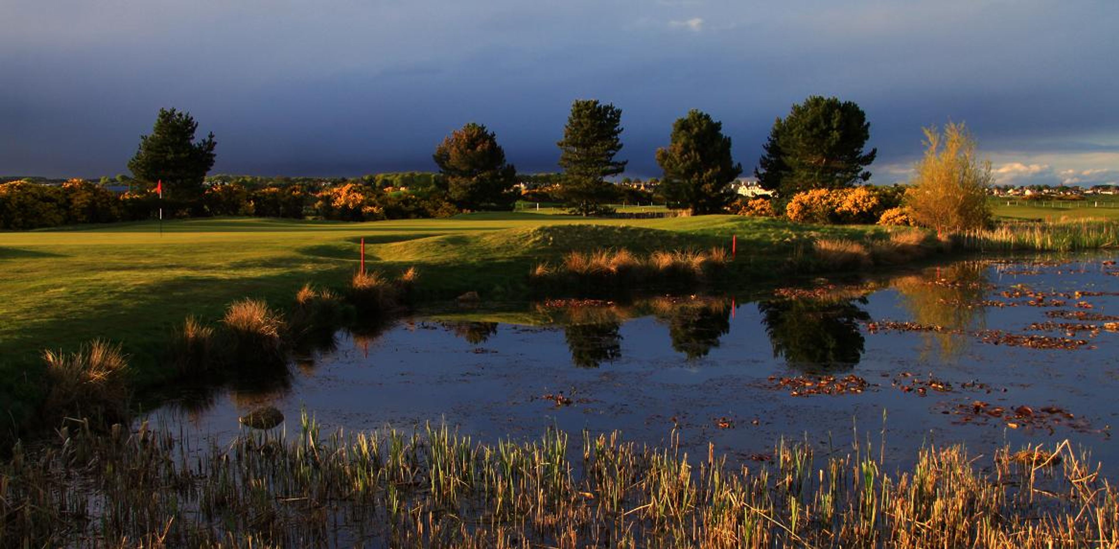 15th-green-Buddon-2