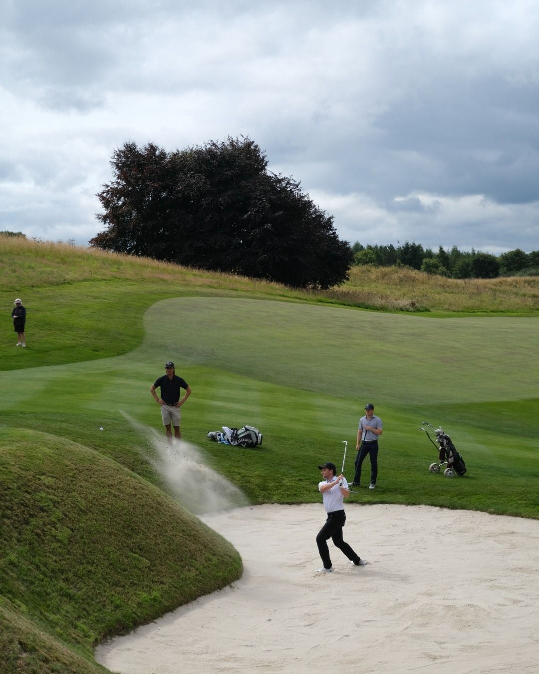 Scottish Challenge