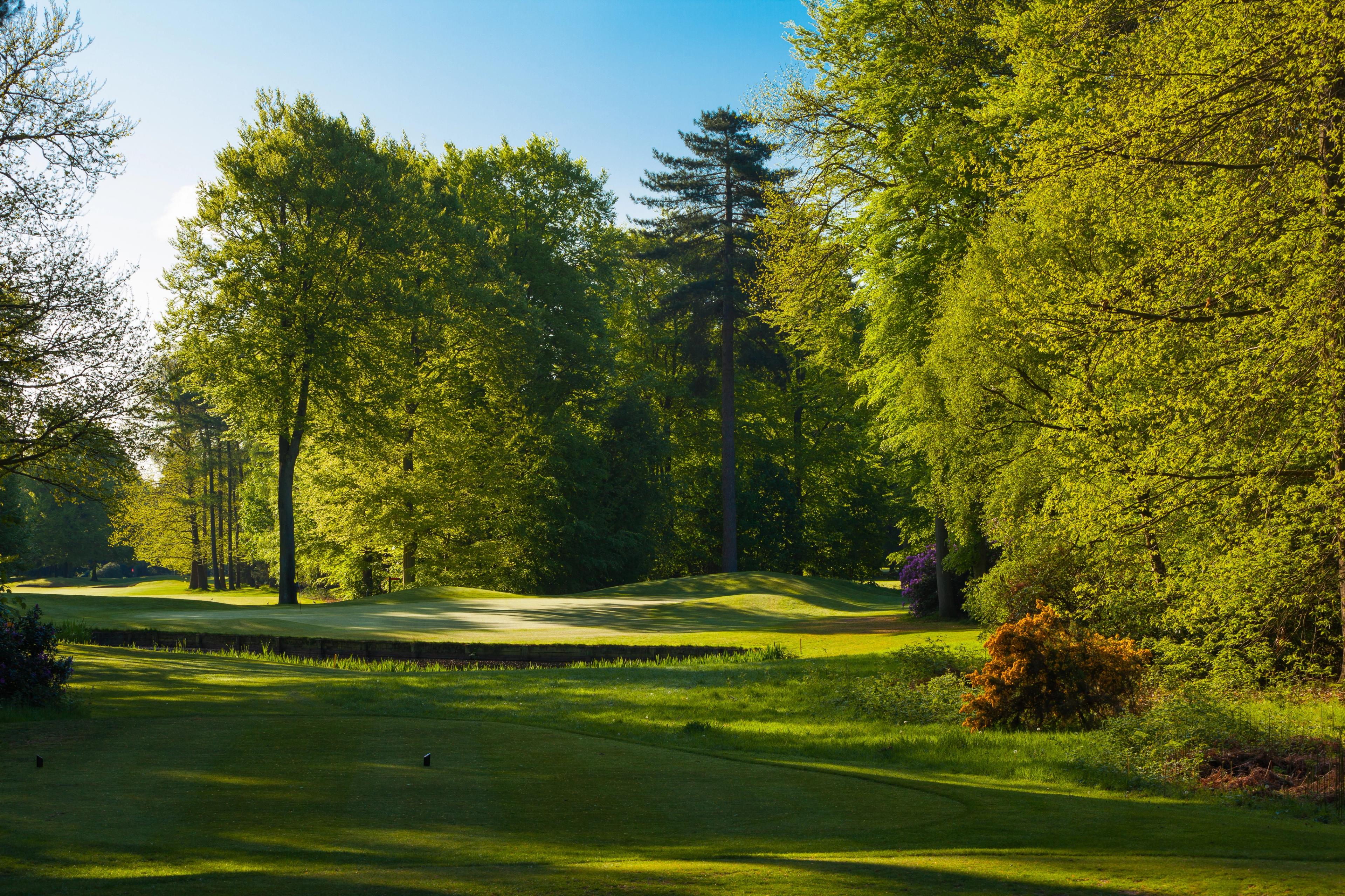 Golf Experiences by Golf Sherpa