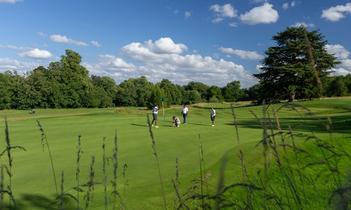 4. Group Golf