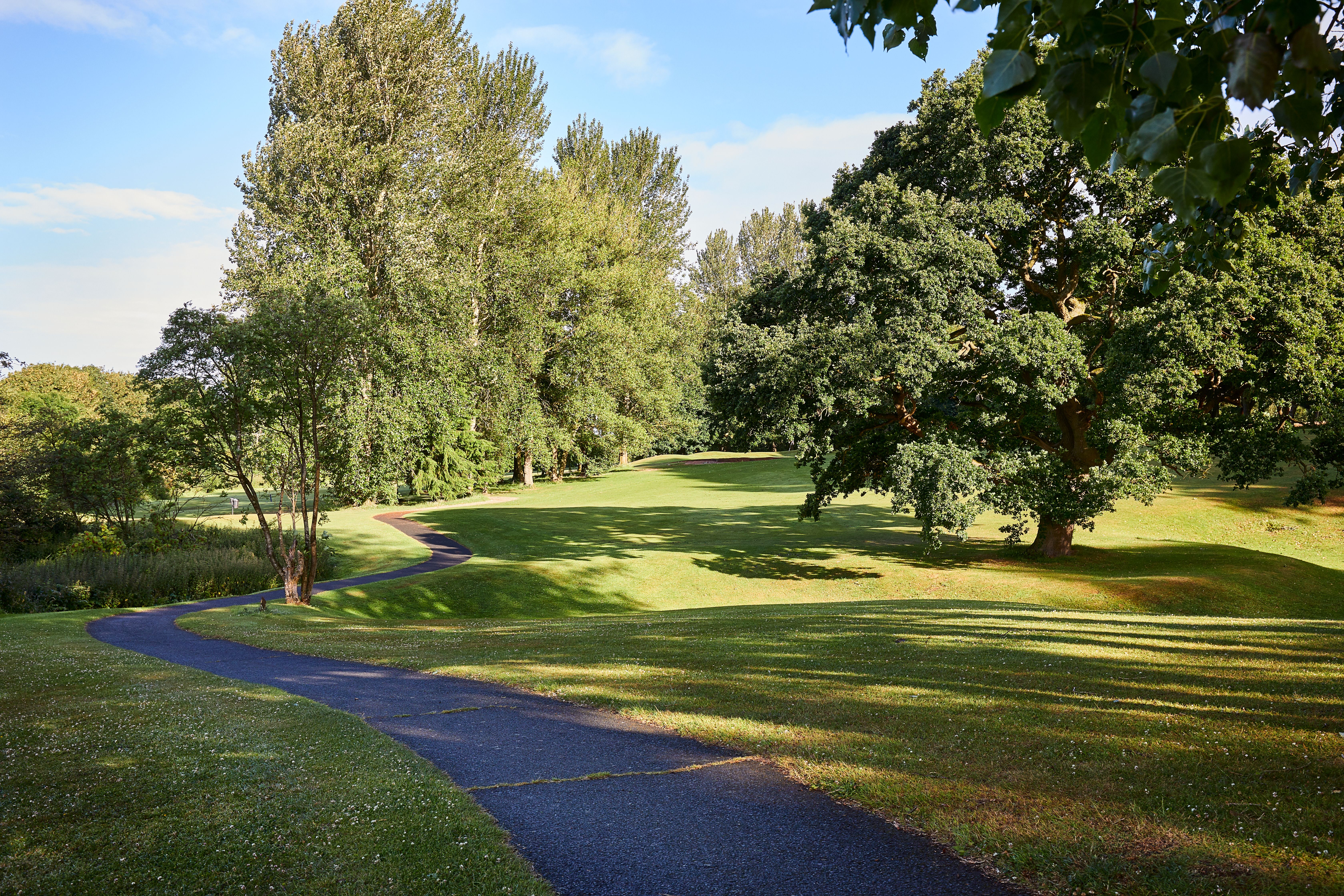 MDH_HillValley_Golf_BuggyPathLandscape