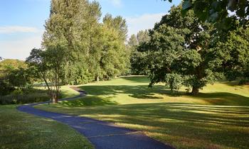 MDH_HillValley_Golf_BuggyPathLandscape
