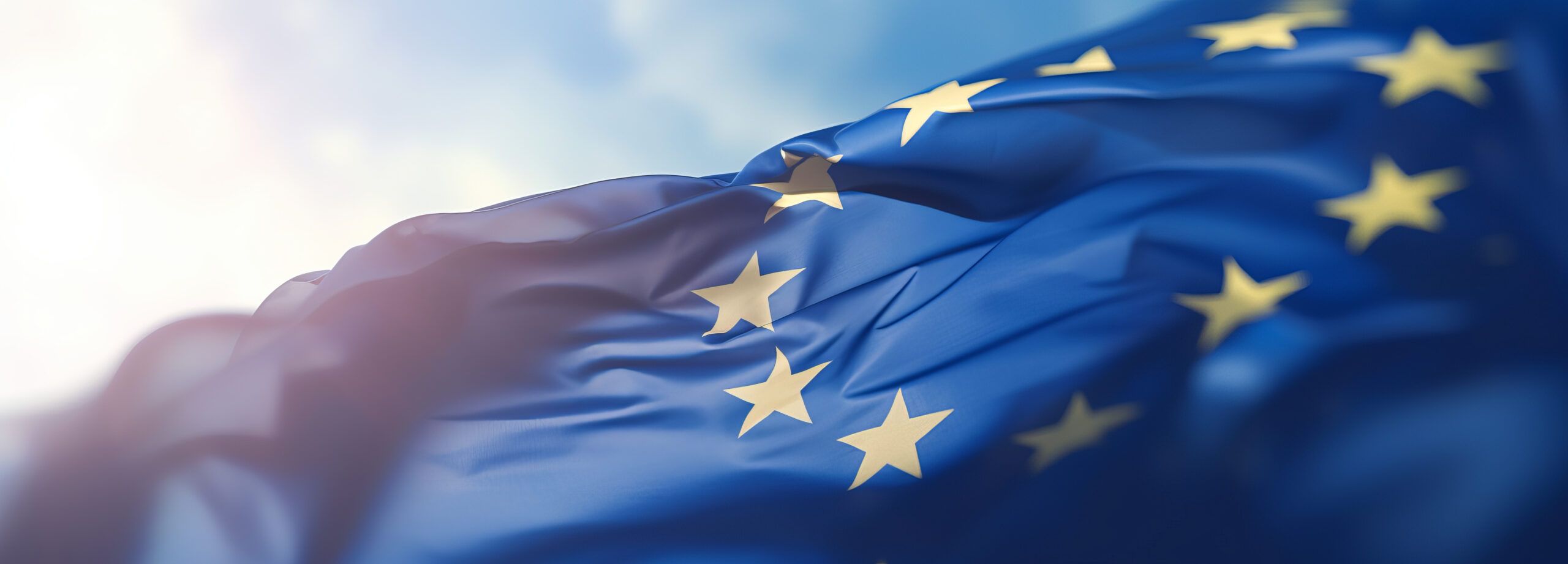 Initiativen in Deutschland und auf EU-Ebene