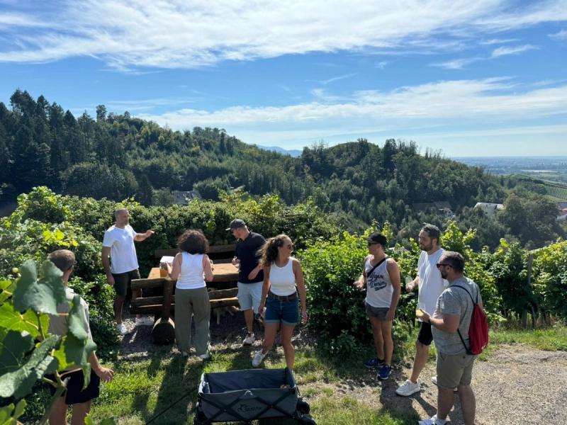 Team taking a break with a view across the vineyards