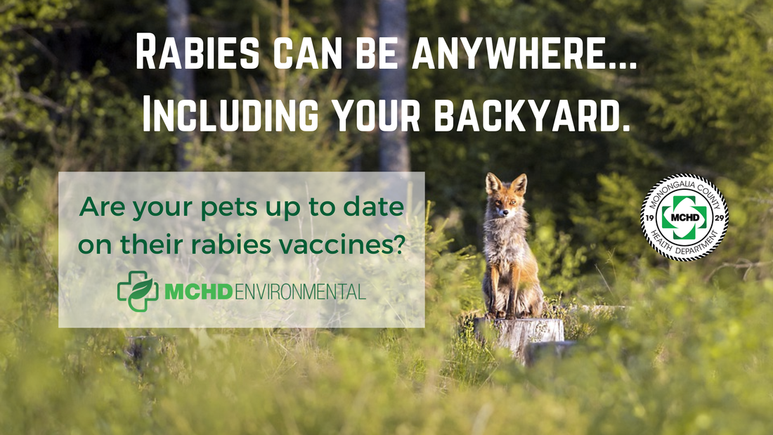 Everyone should be on their guard against rabies | Monongalia County ...