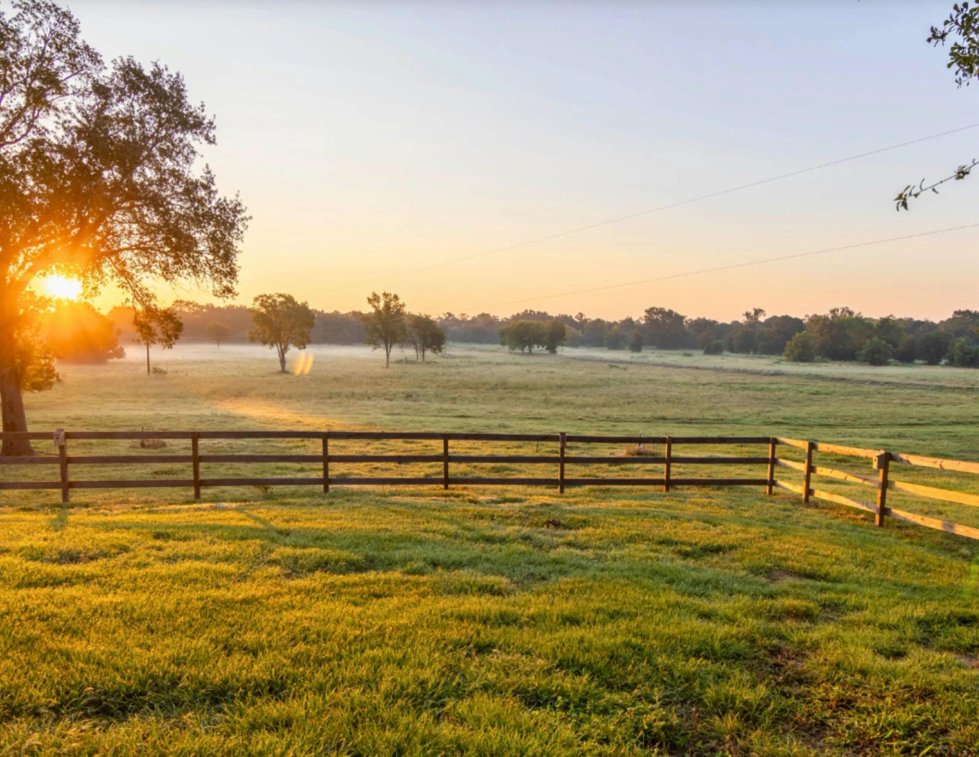 Wilson Pasture