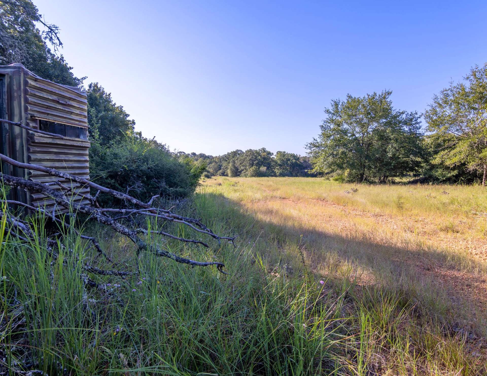 Wilson Pasture - East Sixty