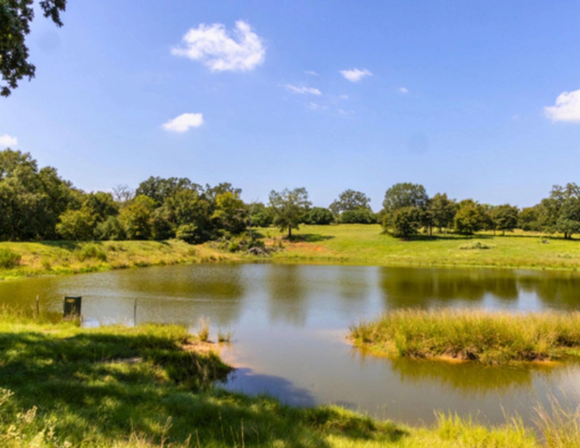 Wilson Pasture
