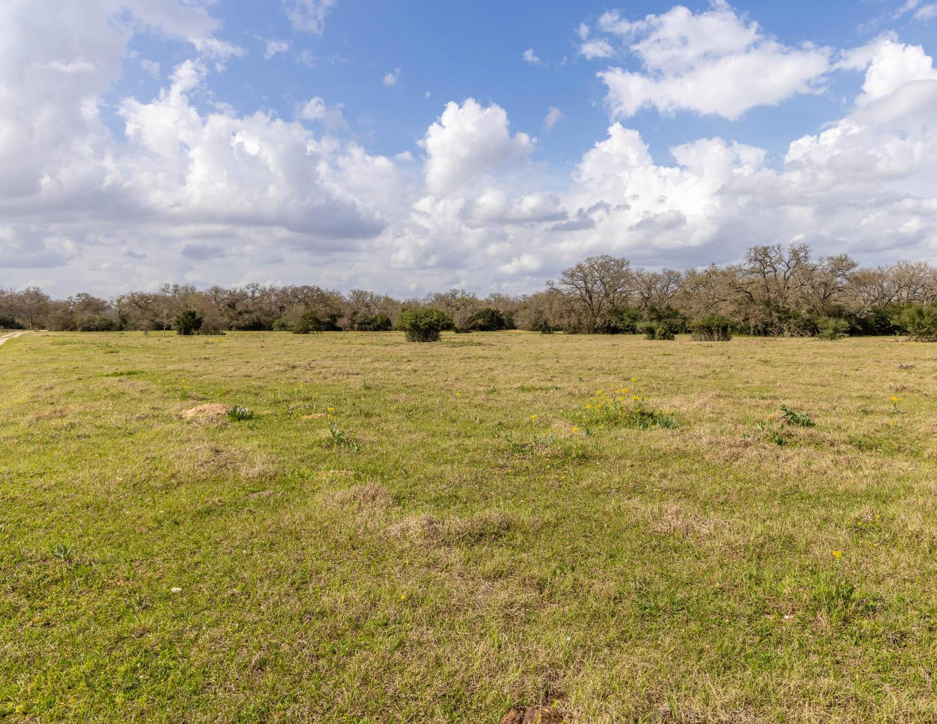 Ferrill Creek Ranch - South Pasture