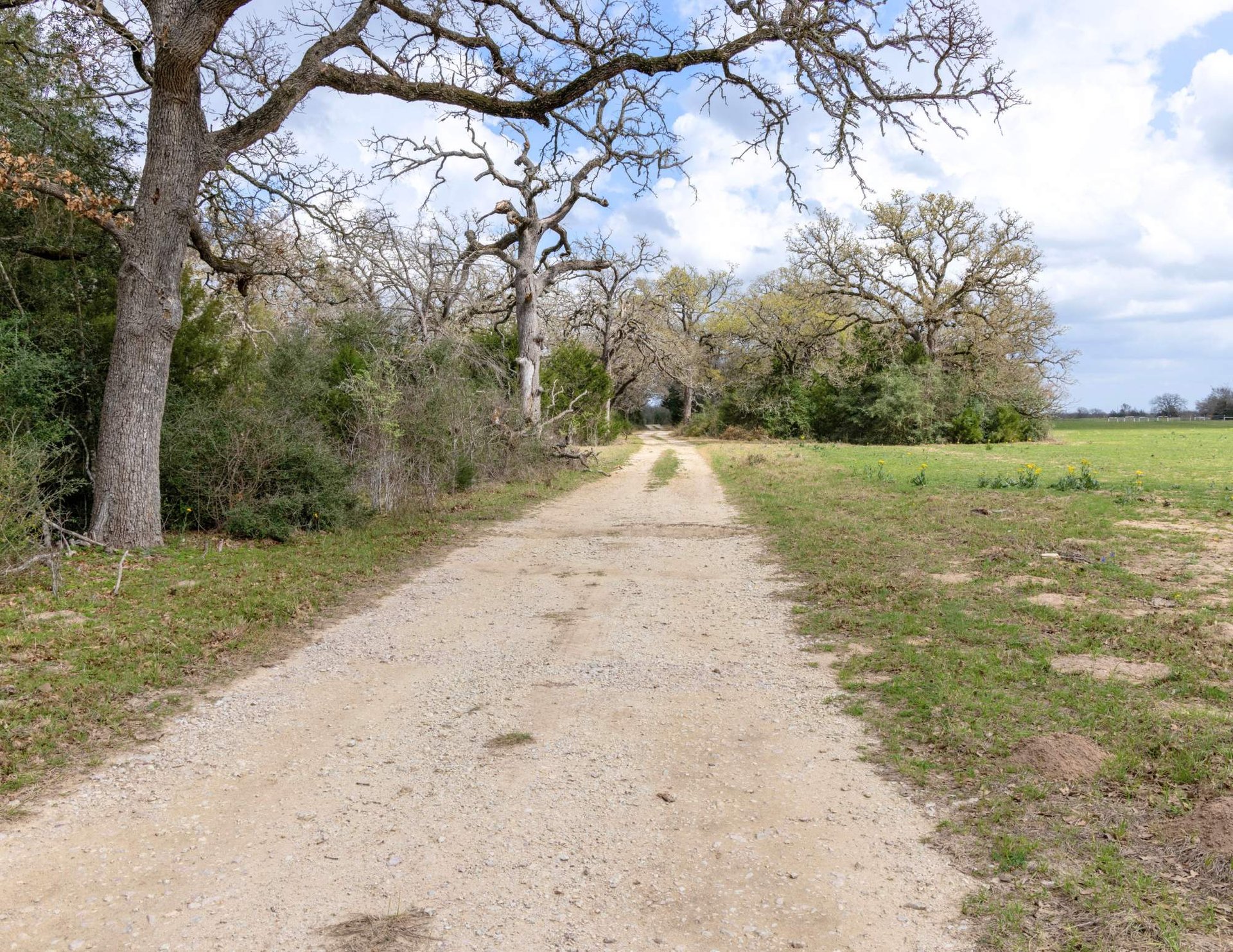 Ferrill Creek Ranch - South Pasture