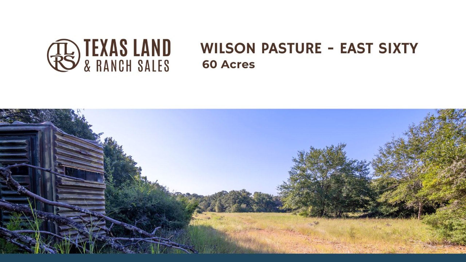 Wilson Pasture - East Sixty