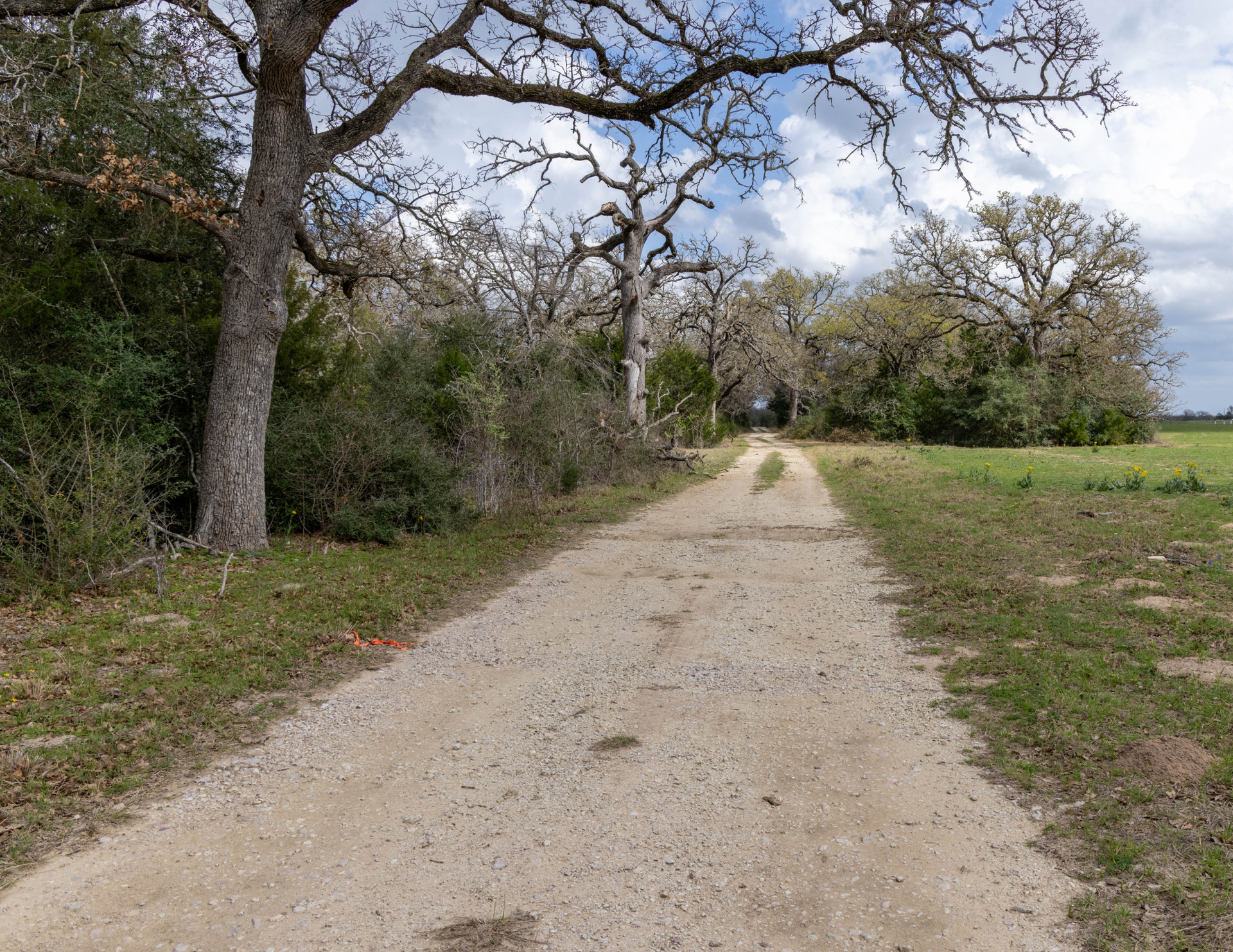Ferrill Creek Ranch