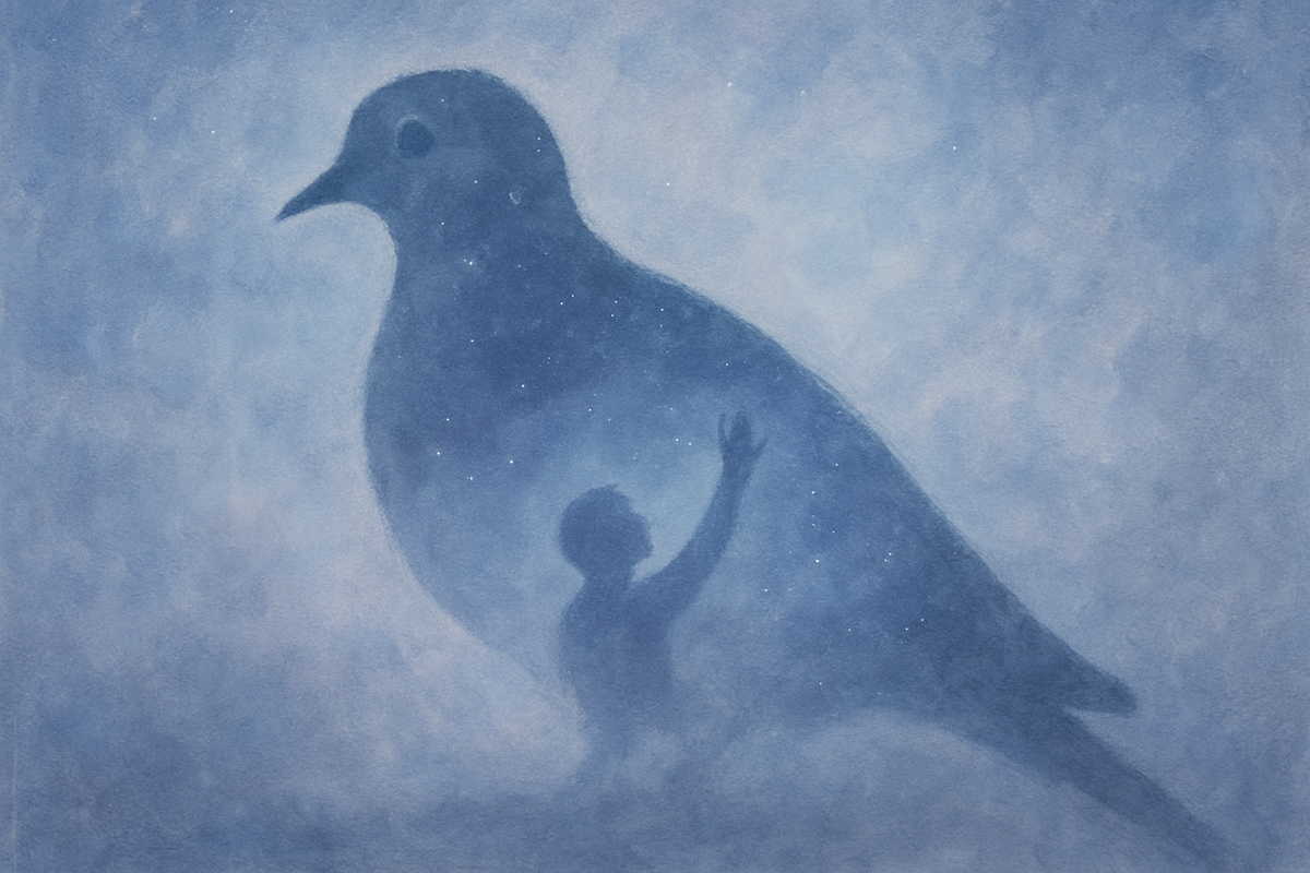 Grey dove silhouette blending into a starry night sky representing dreams and remembrance
