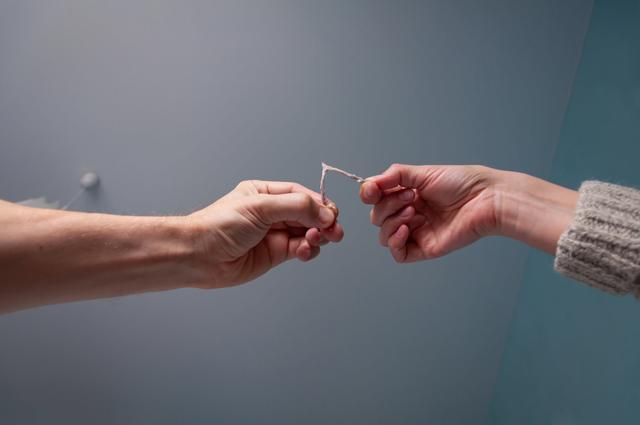 Wishbone Meaning & Symbol