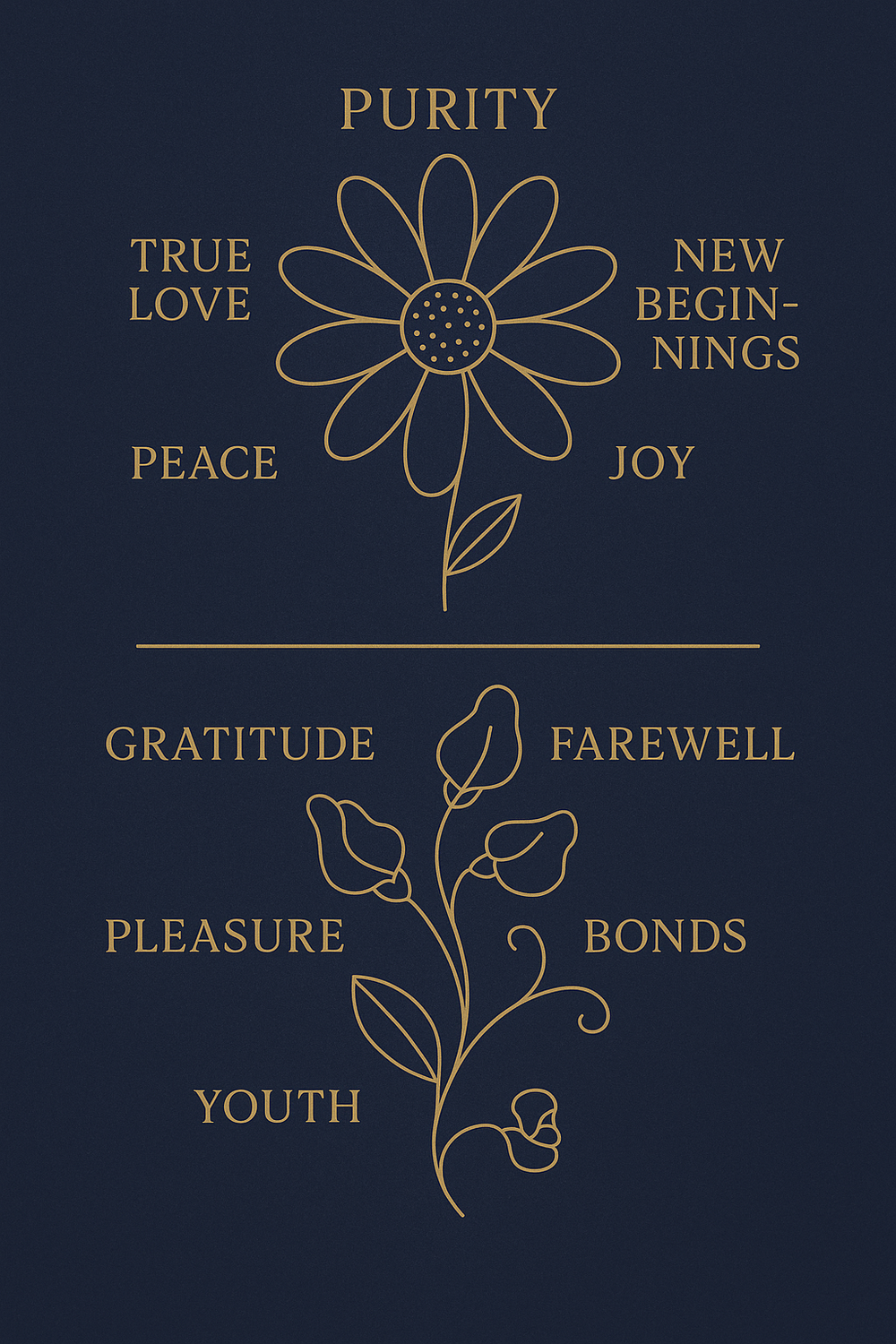 Daisy and Sweet Pea symbolism infographic