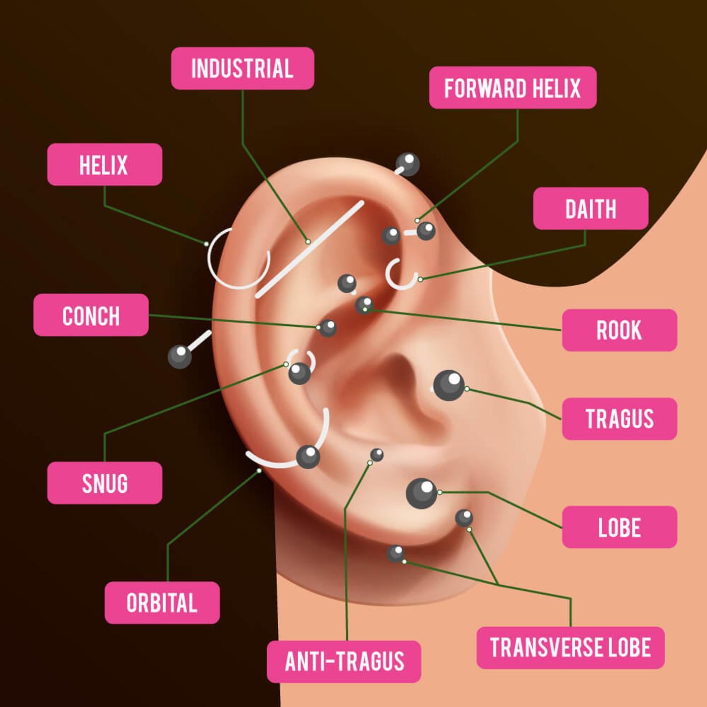 27 Different Types of Ear Piercings