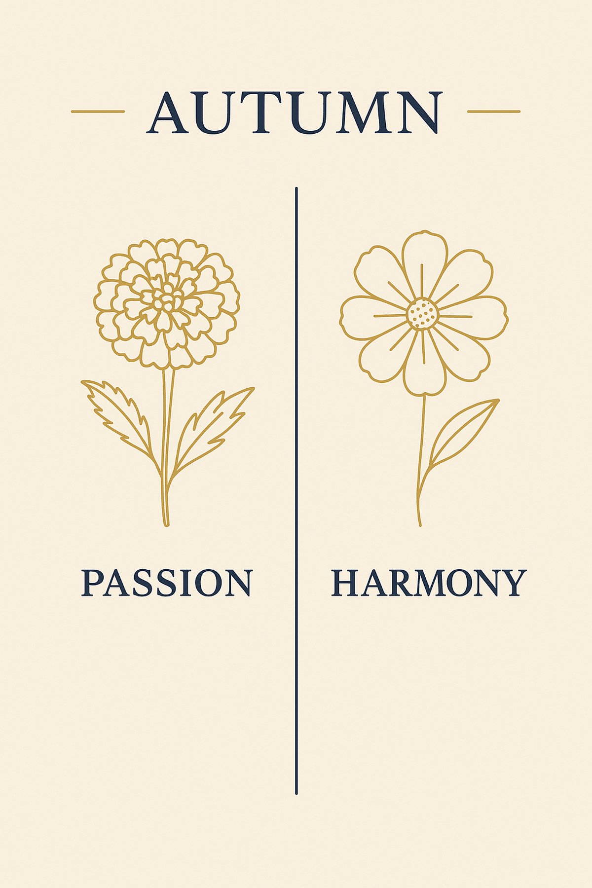 October birth flowers Marigold and Cosmos meaning comparison infographic