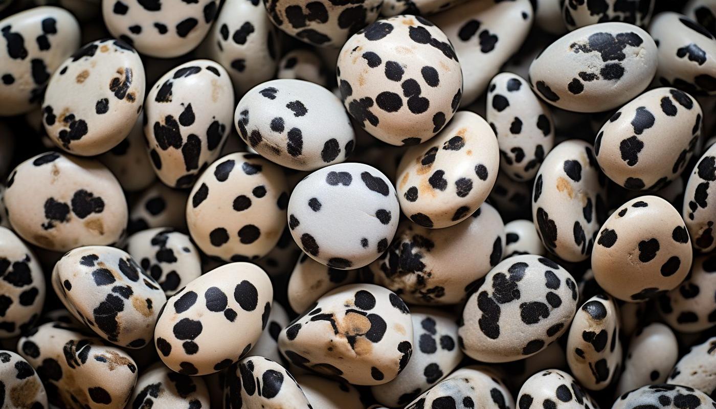 Dalmatian Jasper: A Journey into its Meaning and Properties