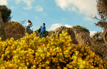 Three young people standing in a field